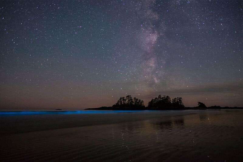 Holbox: Guided Bioluminescence Kayaking Tour - Meeting the guide and getting onto the water