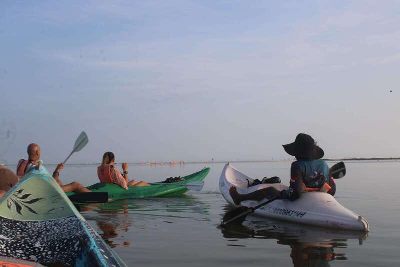 Holbox: Guided Sunrise/Sunset Kayak Tour by Mangrove Reserve - Why sunrise works so well in the Holbox mangroves