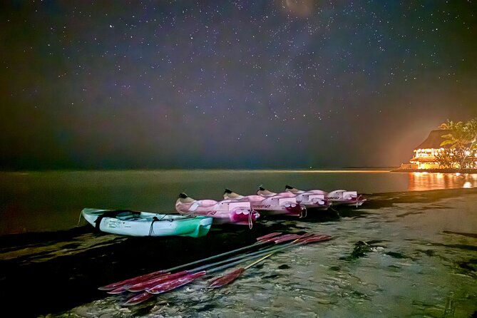 Holbox Kayak Bioluminescence Experience - Key points to know before you go