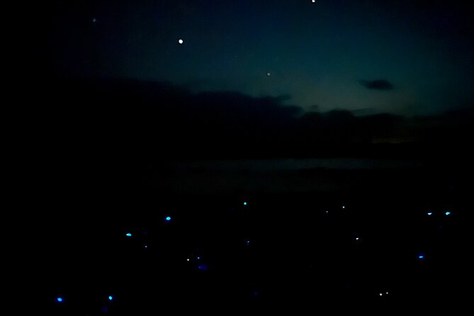Holbox Kayak Bioluminescence Experience - Looking up at the Milky Way
