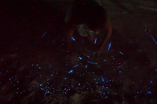 Holbox Kayak Bioluminescence Experience - Finding the brightest plankton