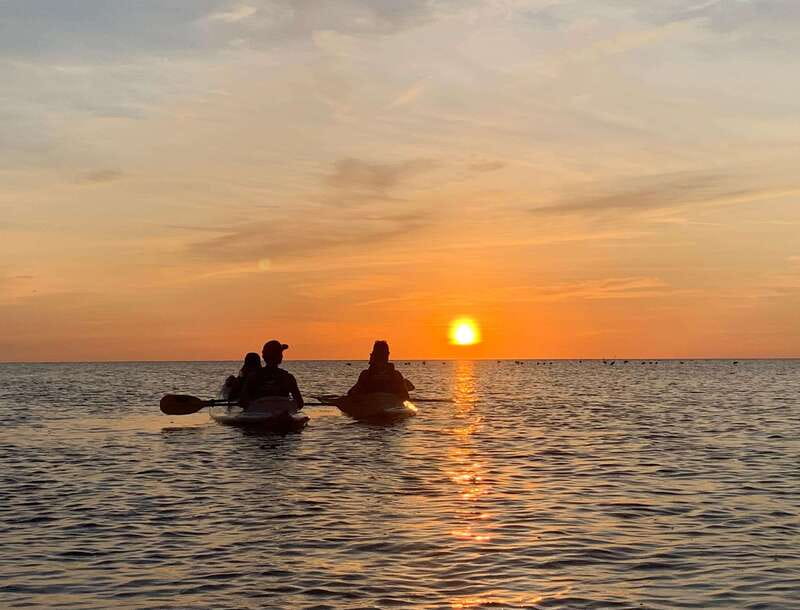 Holbox: Mangrove Sunset Kayak Tour - Key points to know before you go