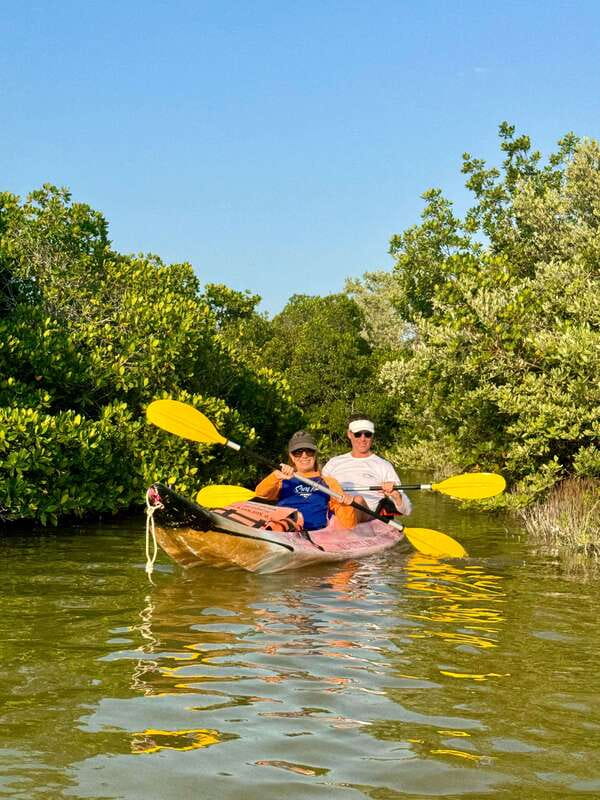 Holbox: Mangrove Sunset Kayak Tour - Seeing American crocodiles from a safe distance