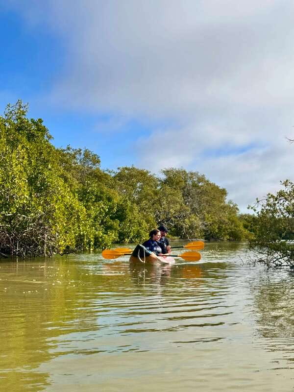 Holbox: Mangrove Sunset Kayak Tour - A snack break before the sunset paddle