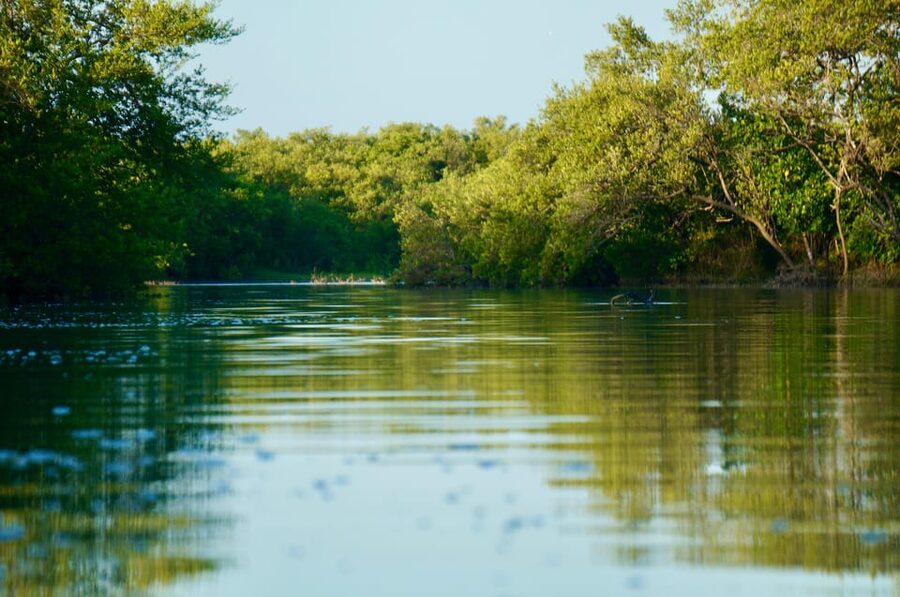 Holbox: Mangrove Sunset Kayak Tour - Sunset over the river and mangroves