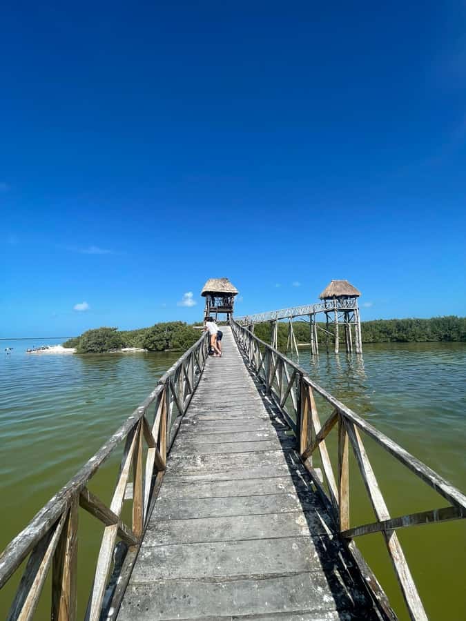 Holbox: Punta Mosquitos, Yalahau, & Pasión Island Boat Tour - Yalahau Lagoon, freshwater, and mangroves