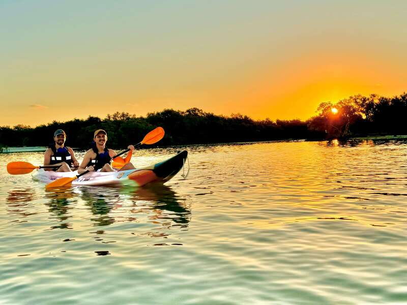 Holbox: Sunrise & Mangrove Kayak Tour - Key points before you book