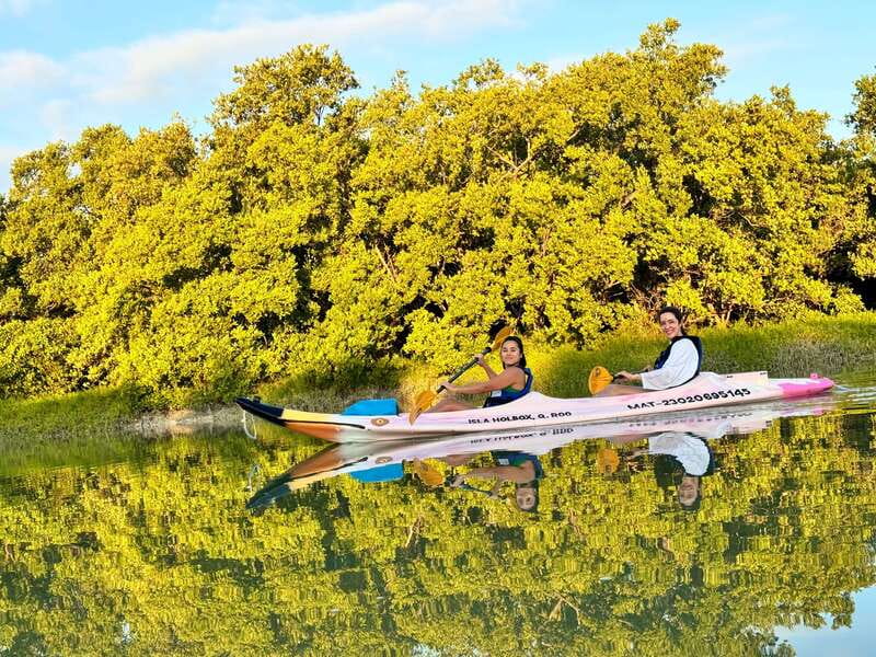 Holbox: Sunrise & Mangrove Kayak Tour - Sunrise paddling across the sandbanks