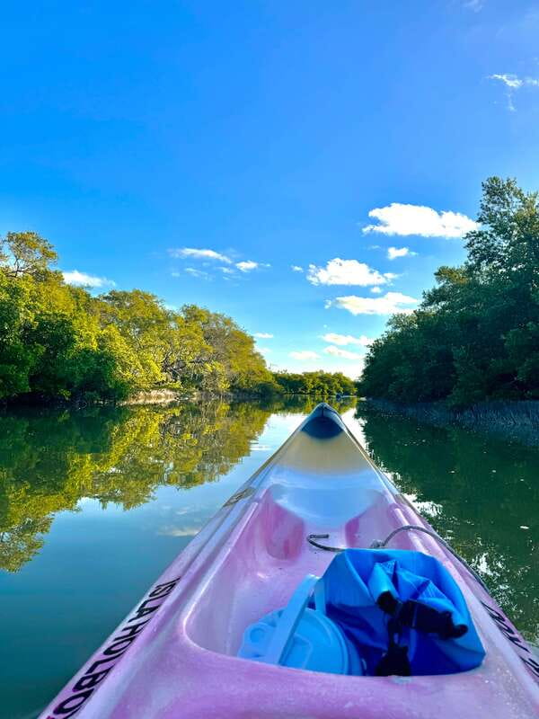 Holbox: Sunrise & Mangrove Kayak Tour - Flamingos, birds, and crocodiles in the wild