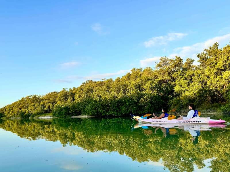 Holbox: Sunrise & Mangrove Kayak Tour - How hard is the kayaking?