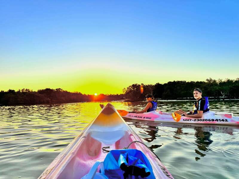 Holbox: Sunrise & Mangrove Kayak Tour - From your hotel to Punta Mosquito by golf cart