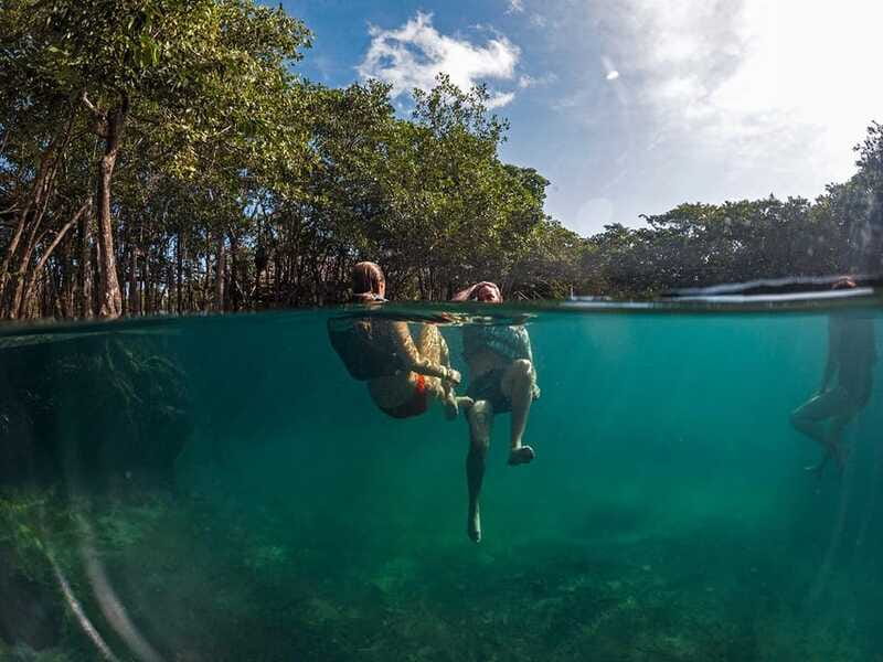 Holbox: Yum Balam Reserve Classic Boat Tour - Passion Island and the birdlife of Holbox