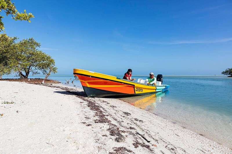 Holbox: Yum Balam Reserve Classic Boat Tour - How much time do you get at each stop?