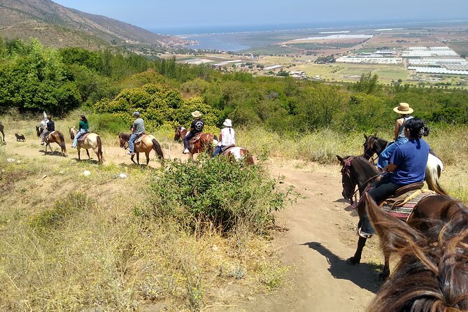 Horseback Mountain Trail Ride - Getting matched with the right horse