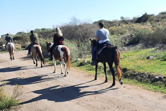 Horseback Mountain Trail Ride - Pairing the ride with La Bufadora or Pai Pai