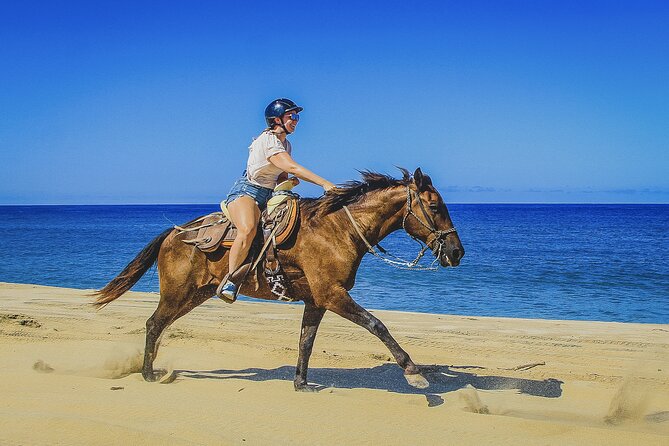 Horseback Riding Beach and Desert in Cabo - From Cabo hotels to Baja riding country