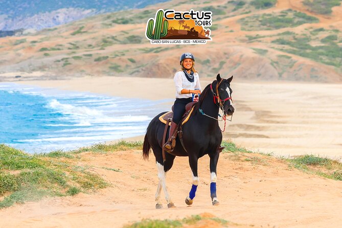 Horseback Riding Beach and Desert in Cabo - Who gets the best value from this Cabo ride?