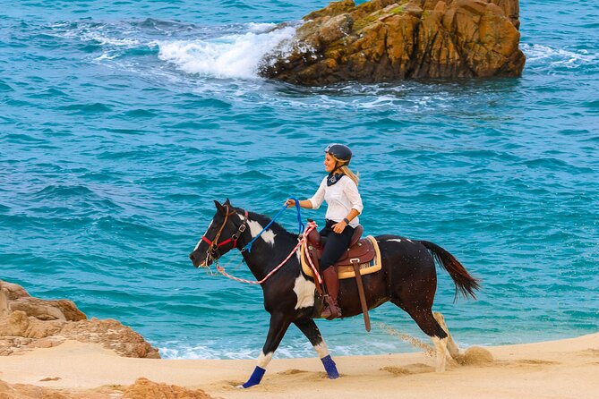 Horseback Riding Beach and Desert in Cabo - Booking and cancellation details