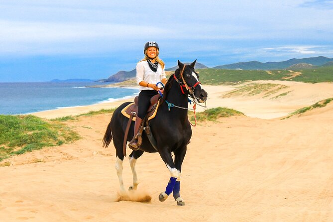 Horseback Riding Beach and Desert in Cabo - Meeting your horse and setting the pace