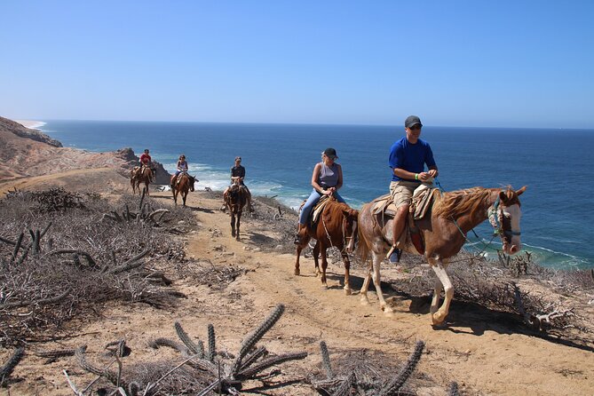 Horseback Riding Experience in Rancho San Cristobal - Key Points at a Glance