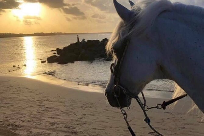 Horseback Riding in Sayulita Through Jungle Trails to the Beach - Is $75 a good value?