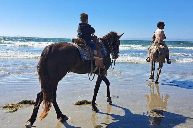 Horseback Riding on the Beach from Ensenada - Choosing the Right Horse for Your Ability