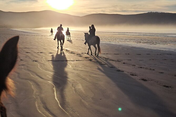 Horseback Riding on the Beach from Ensenada - What the Beach Ride Feels Like