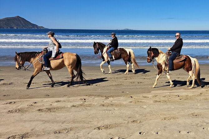 Horseback Riding on the Beach from Ensenada - Water, Restrooms, and What to Bring