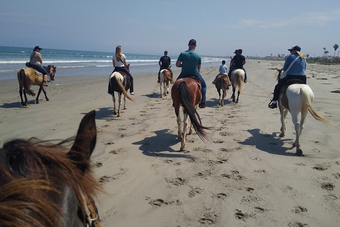 Horseback Riding on the Beach from Ensenada - Transport From the Cruise Port