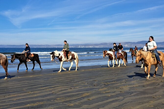 Horseback Riding on the Beach from Ensenada - Is the $95 Price a Fair Deal?