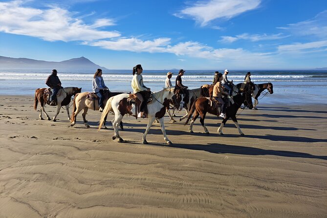 Horseback Riding on the Beach from Ensenada - Who Will Enjoy This Ride Most?