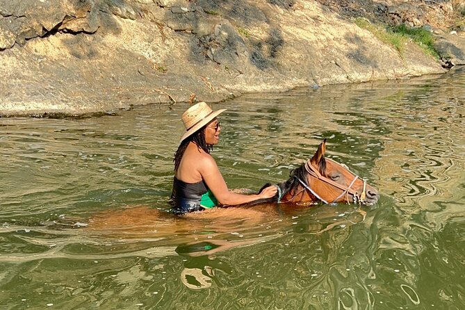 Horseback Riding & Swim: Tequila Tasting, BBQ & Margaritas - The possible horse swim