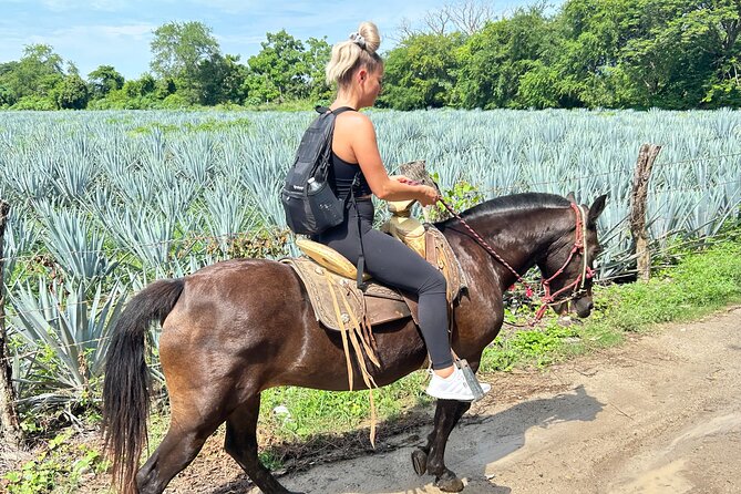 Horseback Riding & Swim: Tequila Tasting, BBQ & Margaritas - How the $113.26 price measures up