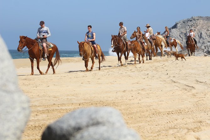 Horseback Riding Tour in Cabo San Lucas - Key points to know before you book