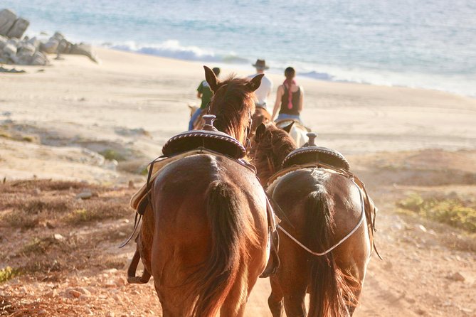Horseback Riding Tour in Cabo San Lucas - The minivan ride from Cabo San Lucas