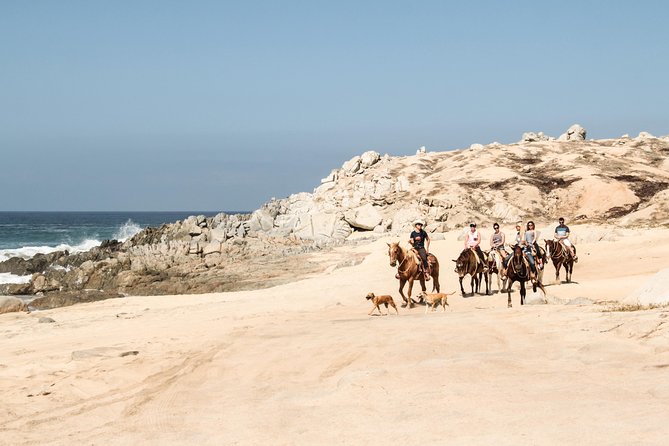 Horseback Riding Tour in Cabo San Lucas - Through the cactus country to the Pacific