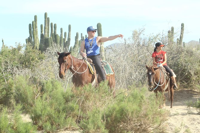 Horseback Riding Tour in Cabo San Lucas - The beach and ocean viewpoint