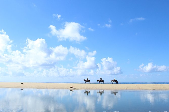 Horseback Riding Tour in Cabo San Lucas - Orientation, horse selection, and mounting