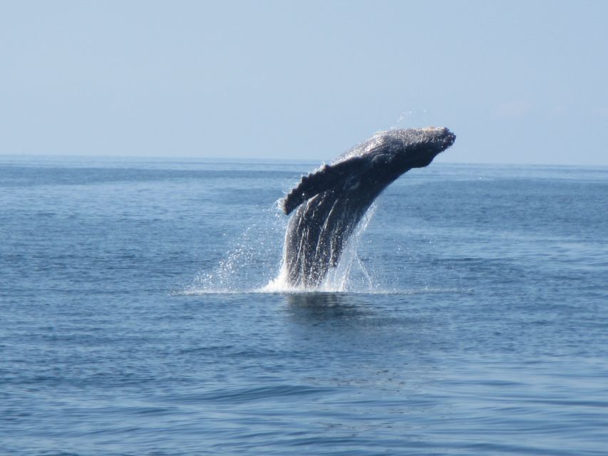 Huatulco: Bays Boat Tour with Snorkeling and Hotel Pickup - Should You Book It?
