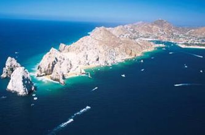 Humpback Whales in Cabo San Lucas - Key things to know before booking