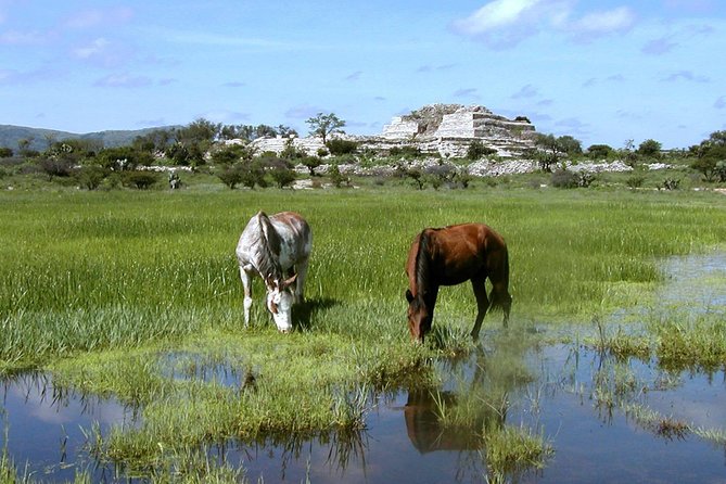 Immersive Cañada de La Virgen Pyramid Tour - Timing, weather, and what to bring