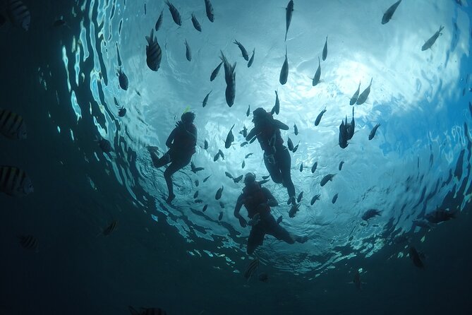 Invisible Boat Snorkeling Tour - What the clear boat actually adds