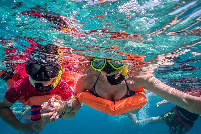 Isla Contoy and Isla Mujeres Tour with Snorkeling from Cancun - Why Isla Contoy Makes This Trip Different