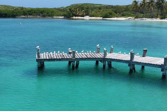 Isla Contoy and Isla Mujeres Tour with Snorkeling from Cancun - The High-Speed Ride Toward Ixlache Reef