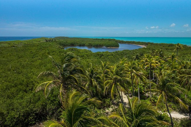 Isla Contoy and Isla Mujeres Tour with Snorkeling from Cancun - The Return Ride and the Crew’s Party Spirit