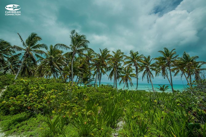 Isla Contoy Eco Adventure - Snorkeling at Ixlache Reef is condition dependent