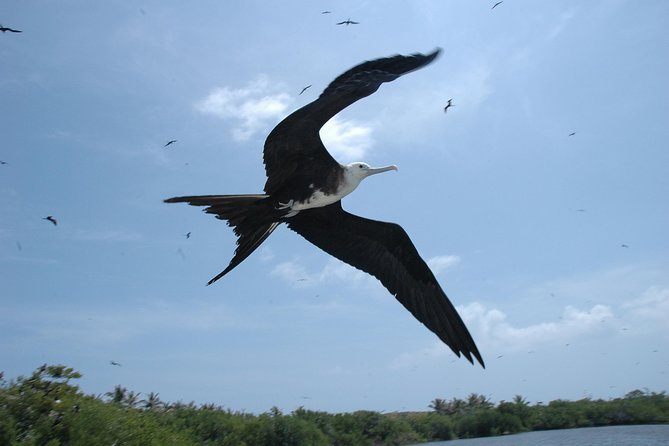 Isla Contoy Eco Adventure - The boat ride is part of the entertainment