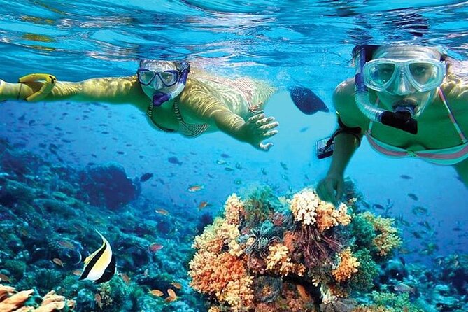 Isla Mujeres Catamaran, Open Bar & Optional Buffet and pick up - Snorkeling at Arrecife El Meco