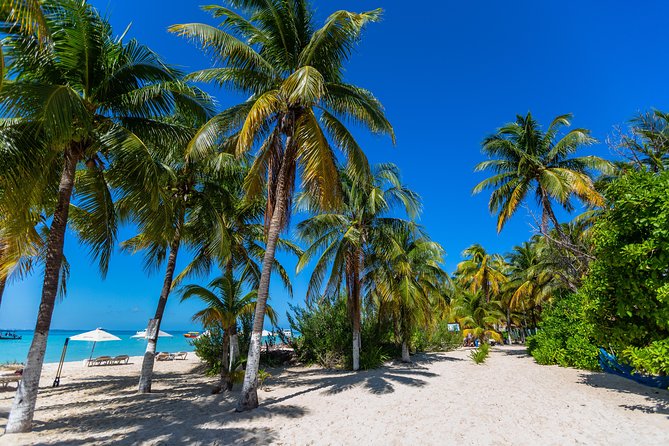 Isla Mujeres Catamaran, Open Bar & Optional Buffet and pick up - Two and a half hours on Isla Mujeres