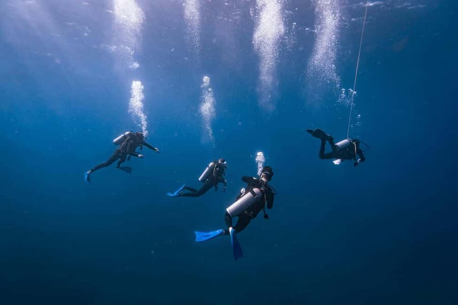 Isla Mujeres: Catamaran Ride with Open Bar, Snorkeling, and Lunch - Key points before you book
